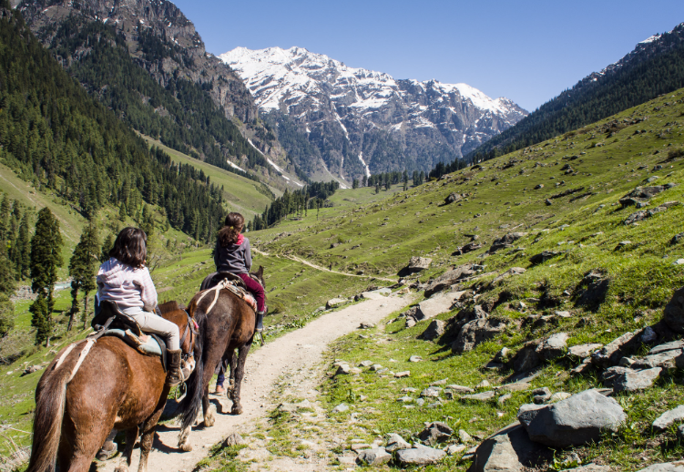 Horse Ride at Pahalgam