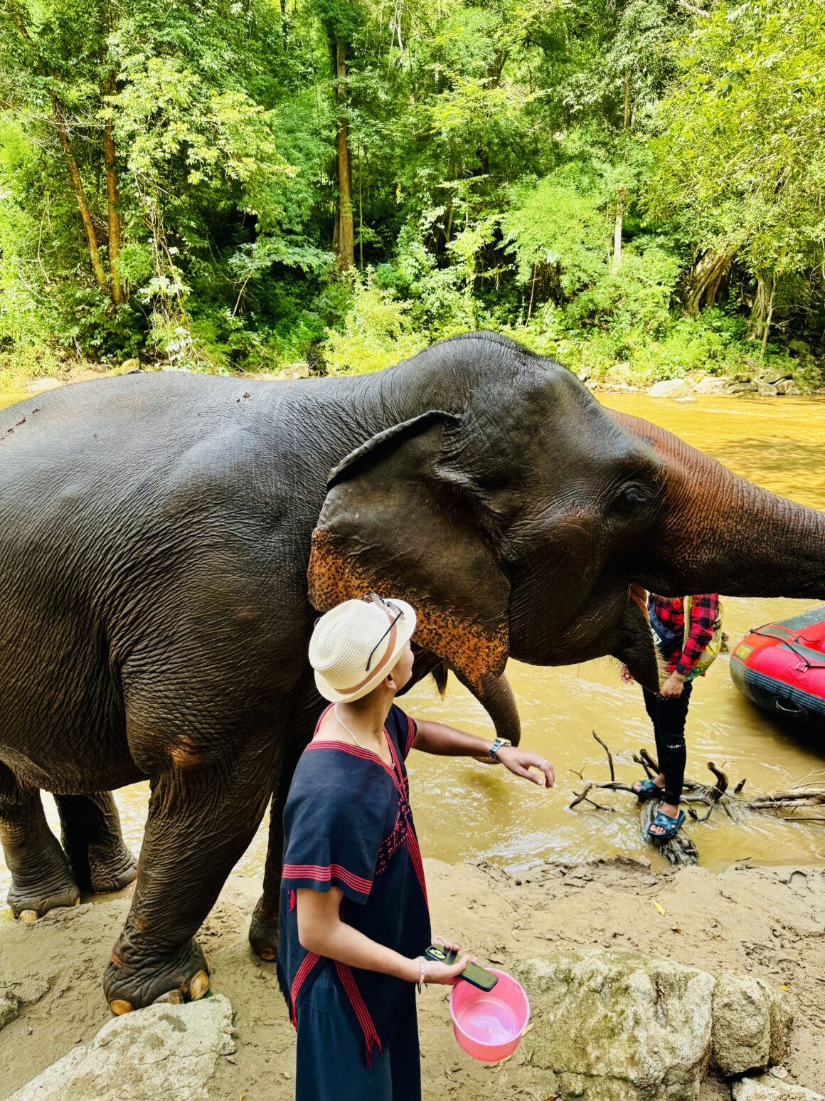 Elephant Sanctuary