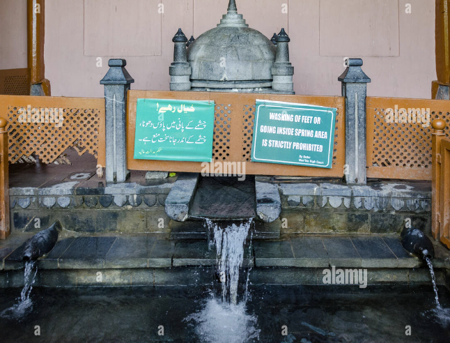 Drinking Fresh Spring Water